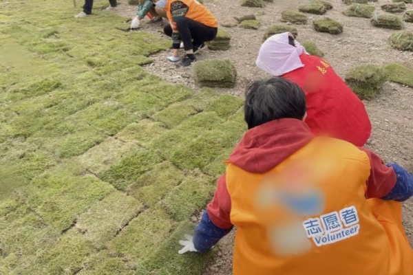 祝桥镇施湾社区：从荒废空地到整齐停车场，解决停车难问题