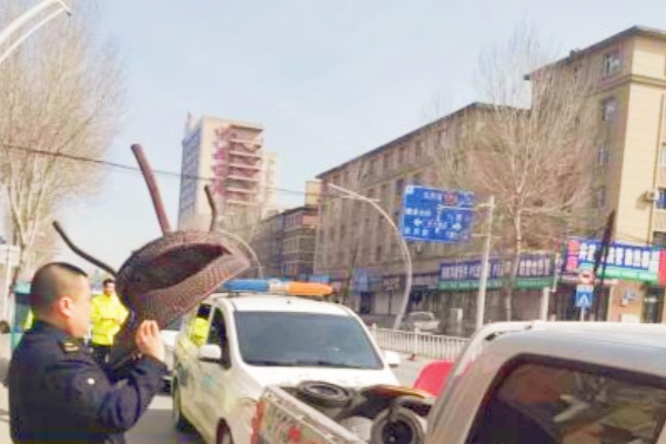 铁东区执法局开展专项行动，整治商户占用路边停车位问题