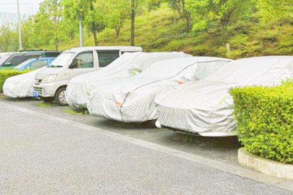 免费停车位被长期占用，公园停车场应考虑适当收费并加强停车管理