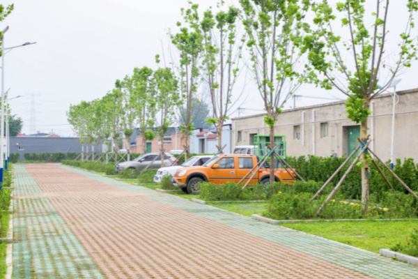 北京大兴新景初现林下停车场，创新停车模式解决停车难题