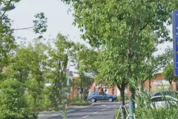 湖北孝感停车泊位新举措，城市交通焕新颜