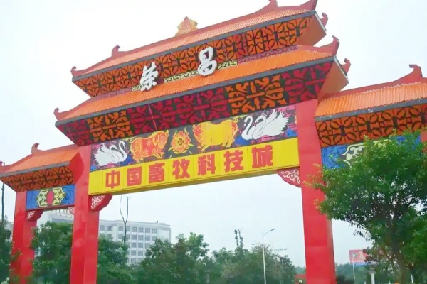 荣昌试水节假日全免费停车政策，市民游客体验改善催生消费新机遇