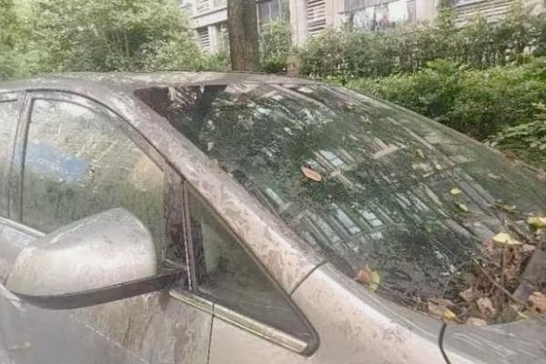 杭州“僵尸车”难题：城市停车管理顽疾待解