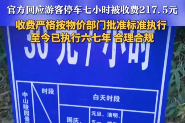 假日高价停车费引热议：创新举措能否替代传统涨价？