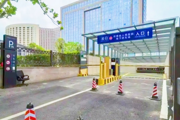 新华区城管局多措并举破解非机动车停放难题，城市出行秩序显著提升