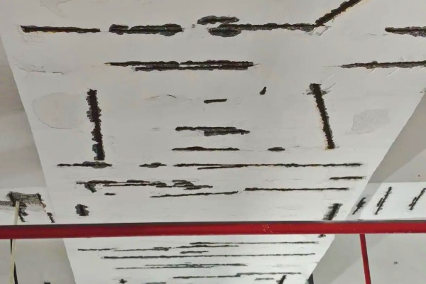 滨江沿江景观停车场梁柱钢筋存安全隐患，管理方拟出维修计划