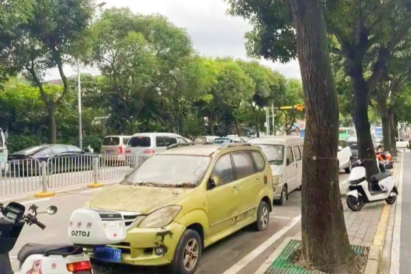深圳多区域现“僵尸车”围城:市政路拥堵、停车场占位,治理为何遇阻? 深圳多区域现“僵尸车”围城:市政路拥堵、停车场占位,治理为何遇阻?